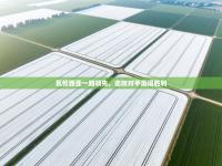 瓦伦西亚一路领先，击败对手赢得胜利