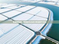 拉波特助攻，布莱顿与米德尔斯堡踢平交梨