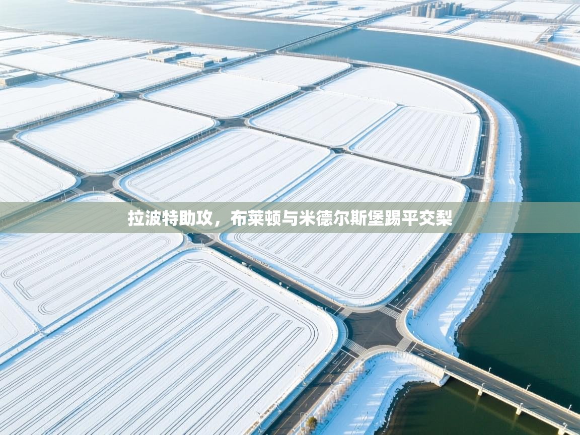 拉波特助攻,布莱顿与米德尔斯堡踢平交梨 第1张