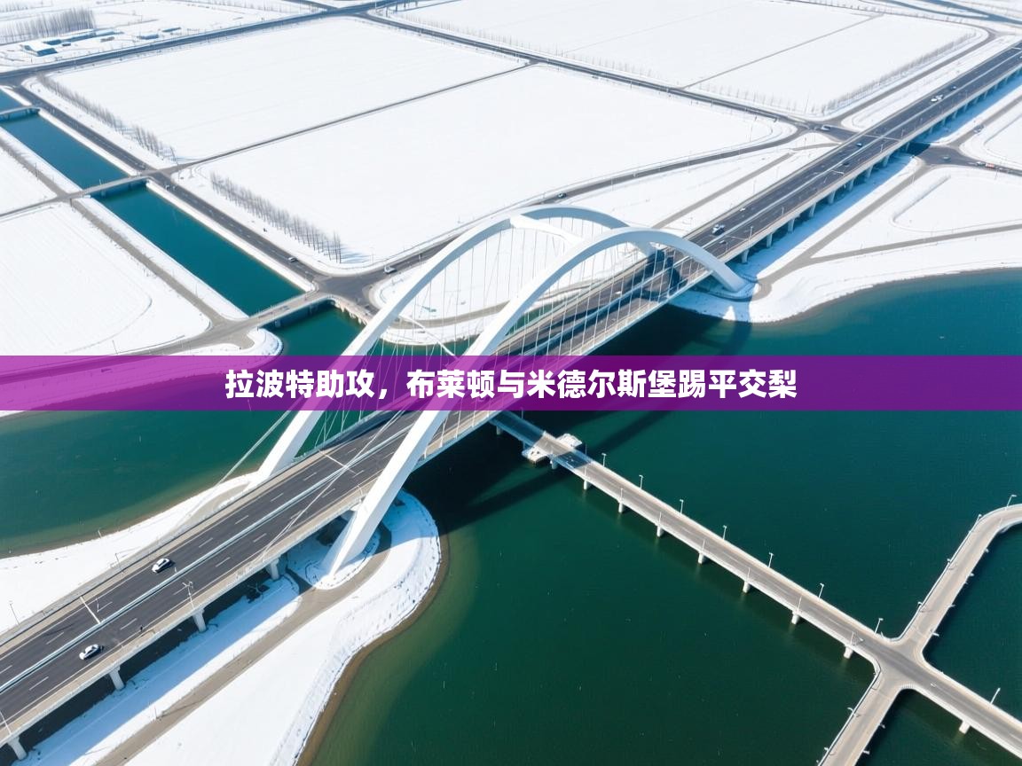 拉波特助攻,布莱顿与米德尔斯堡踢平交梨 第2张